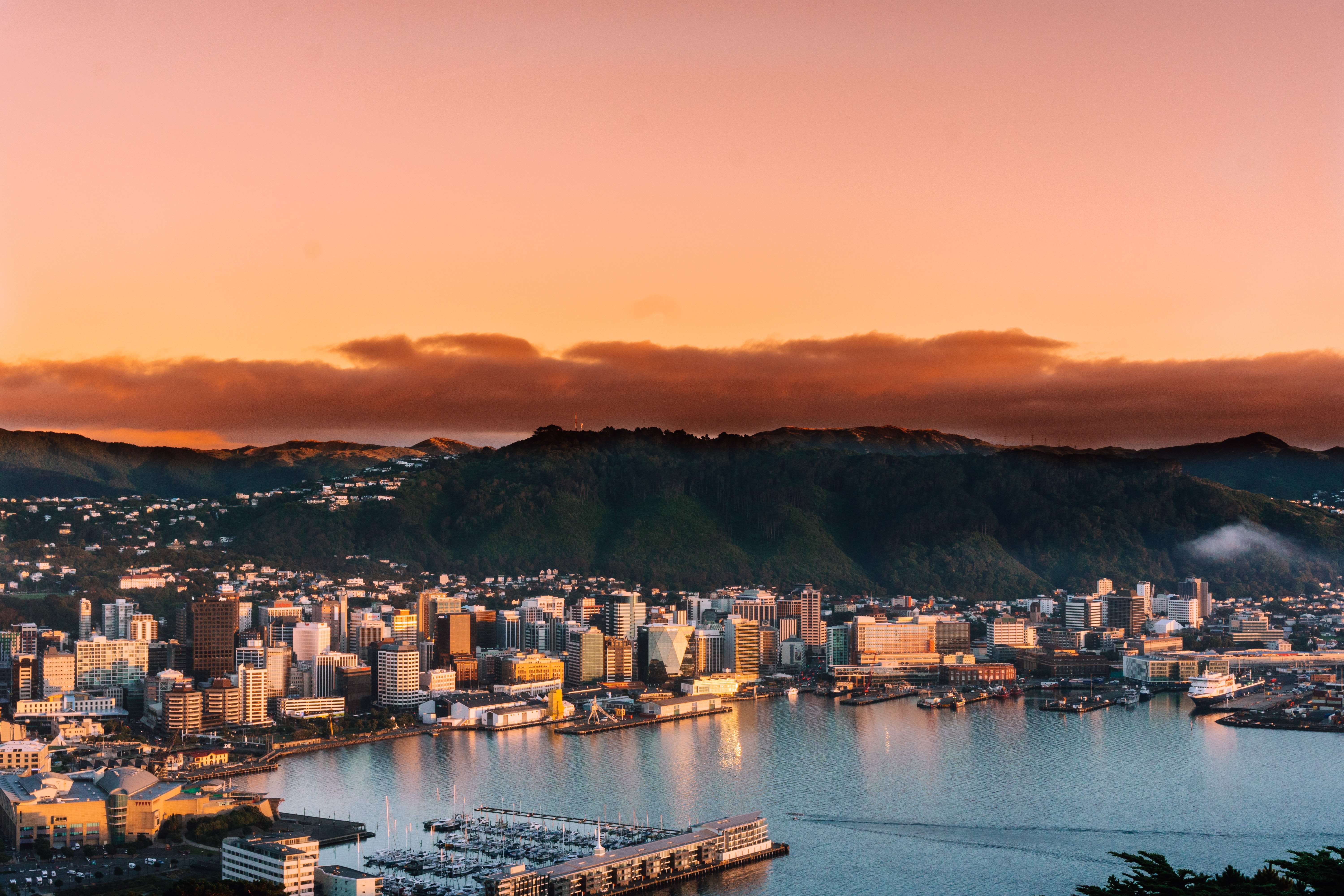 Wellington Modica Office